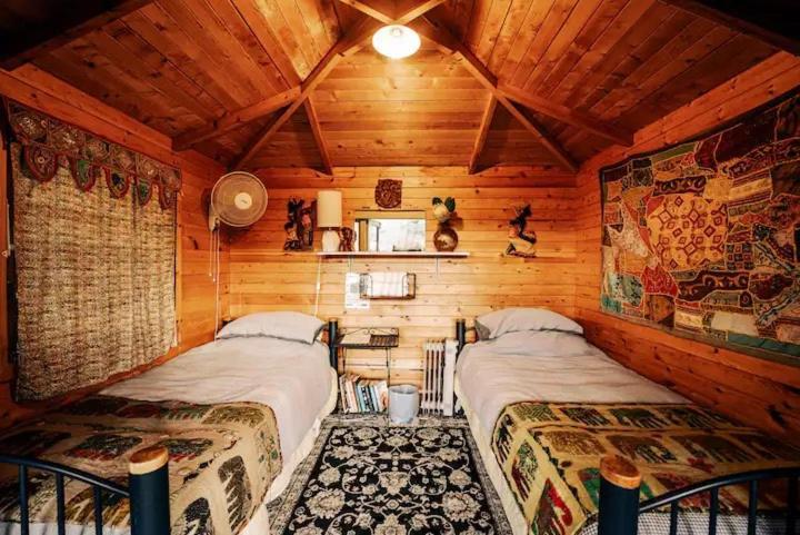 Starry Nights Cabin Fever Waikino Oda fotoğraf